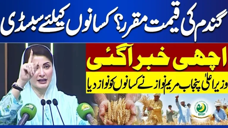 Maryam Nawaz Wheat Support Scheme 5000 Per Acre Latest Update