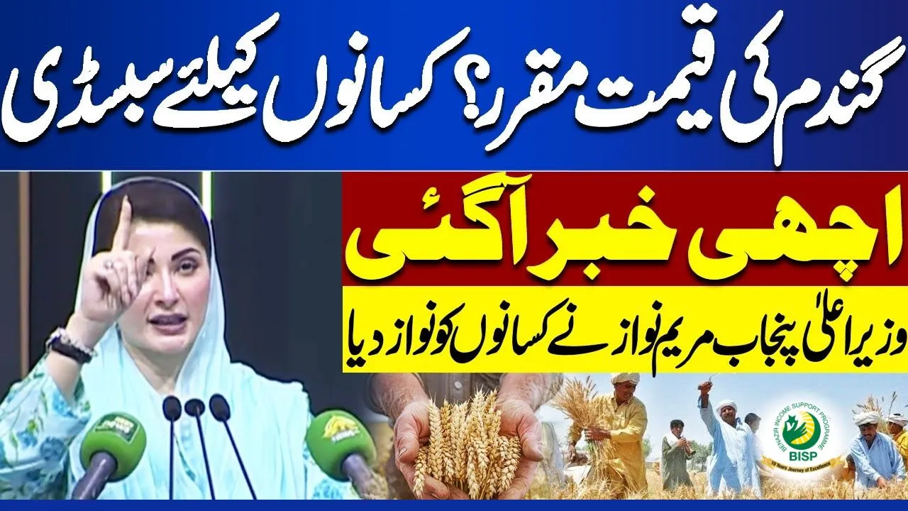 Maryam Nawaz Wheat Support Scheme 5000 Per Acre Latest Update